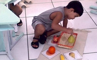 Não Interrompa a Criança que se Concentra