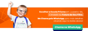 escola prisma banner whatsapp 2025 1.2