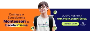escola prisma em juazeiro - educação infantil montessori